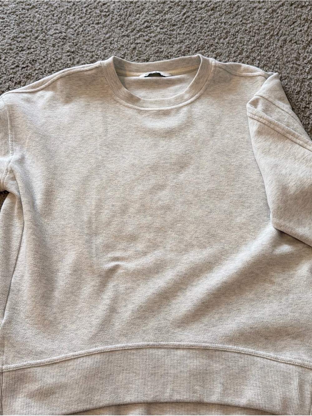 DSG Crewneck Sweatshirt in Light Beige